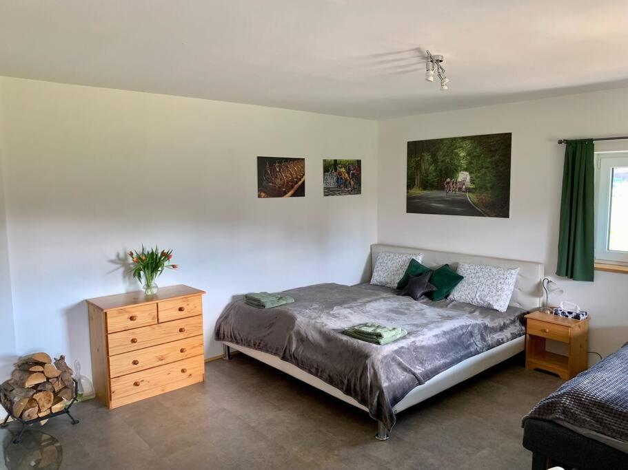 Apartment Tour Bohemian Switzerland Horni Podluzi Экстерьер фото