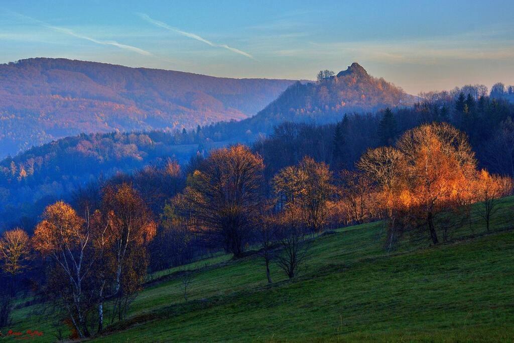 Apartment Tour Bohemian Switzerland Horni Podluzi Экстерьер фото